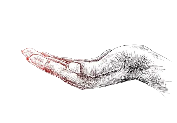 Hand presenting package